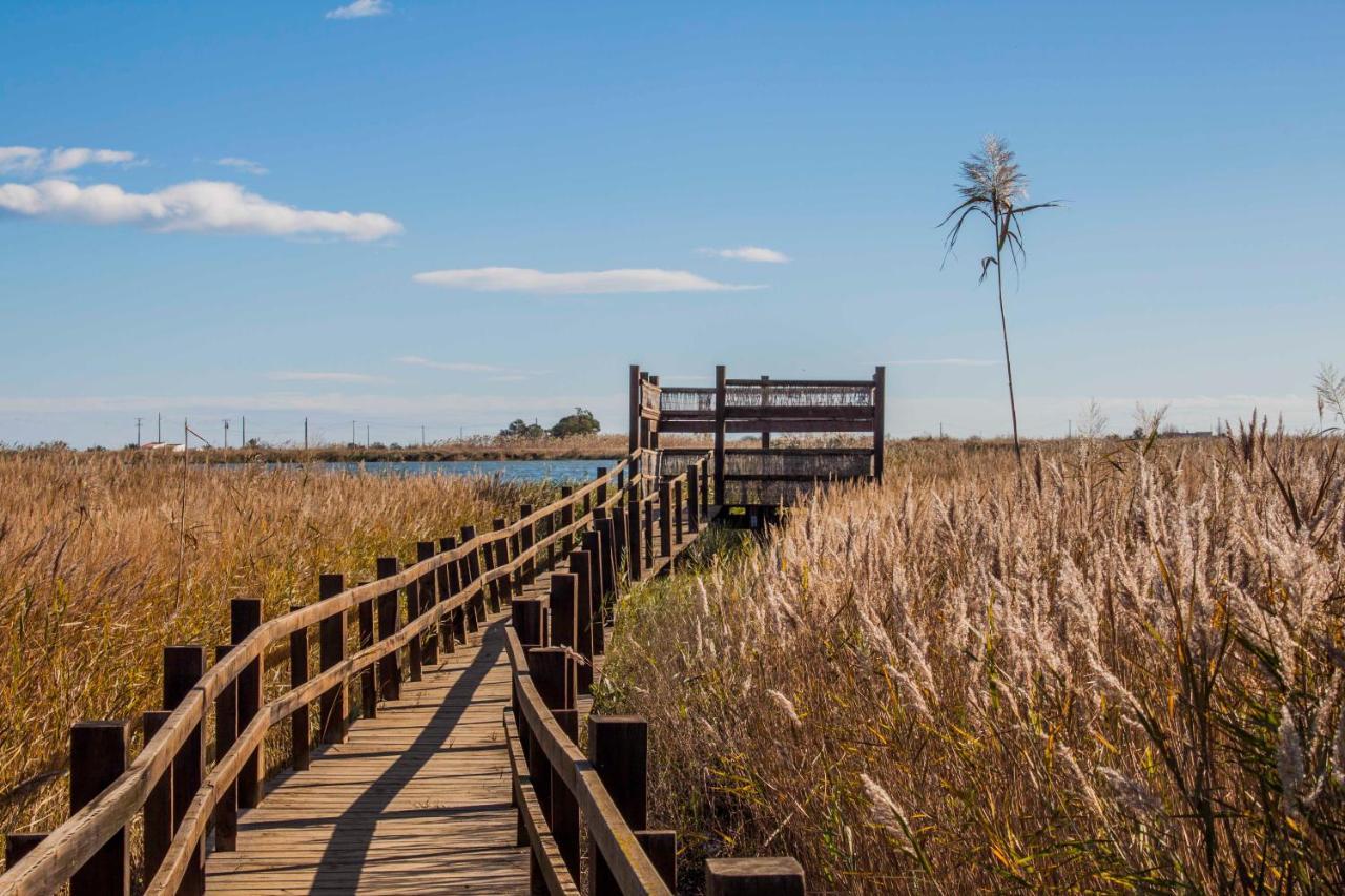 Paradise Ebro 2 Deltebre Ngoại thất bức ảnh